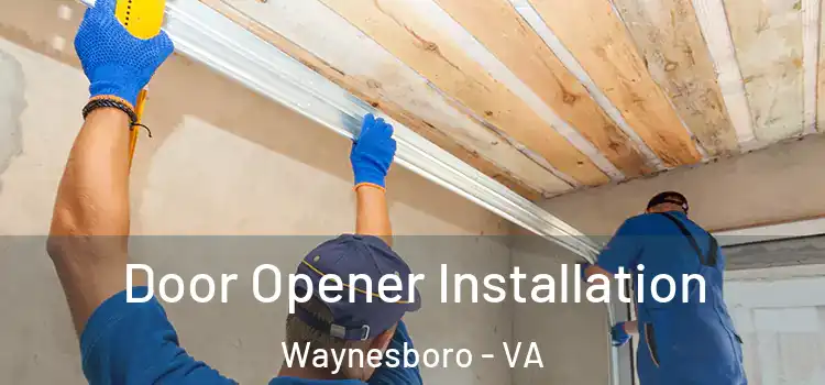 Door Opener Installation Waynesboro - VA