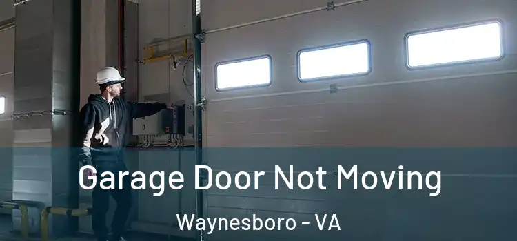  Garage Door Not Moving Waynesboro - VA