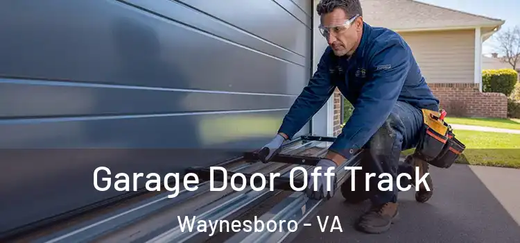 Garage Door Off Track Waynesboro - VA