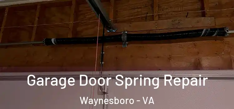  Garage Door Spring Repair Waynesboro - VA