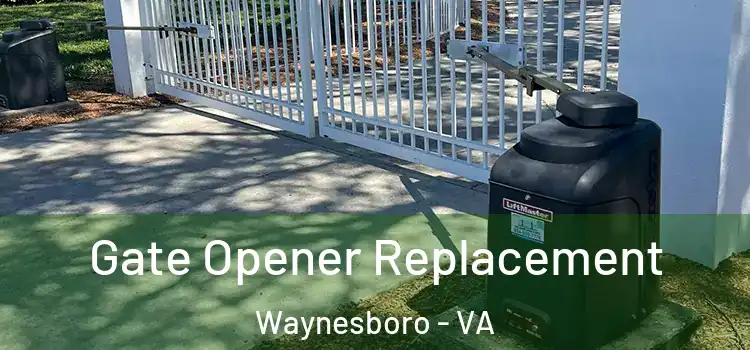  Gate Opener Replacement Waynesboro - VA