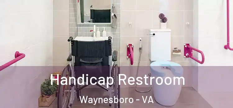  Handicap Restroom Waynesboro - VA