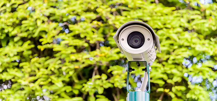 Advanced Surveillance Solutions for Every Need in Waynesboro