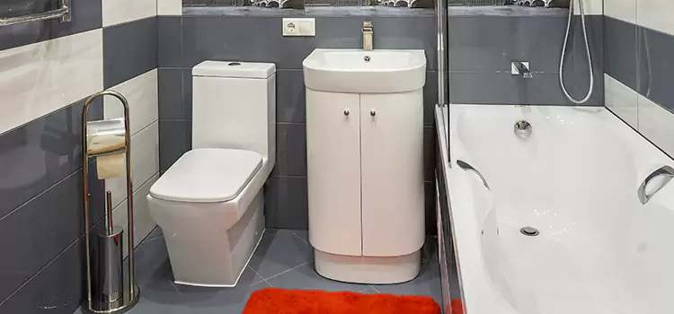 Hansgrohe Shaving Mirror Waynesboro
