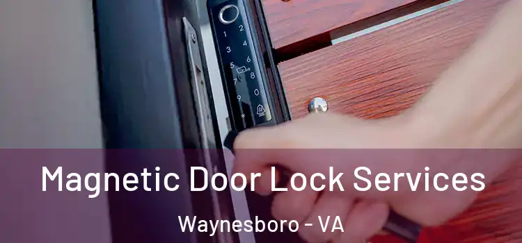 Magnetic Door Lock Services Waynesboro - VA