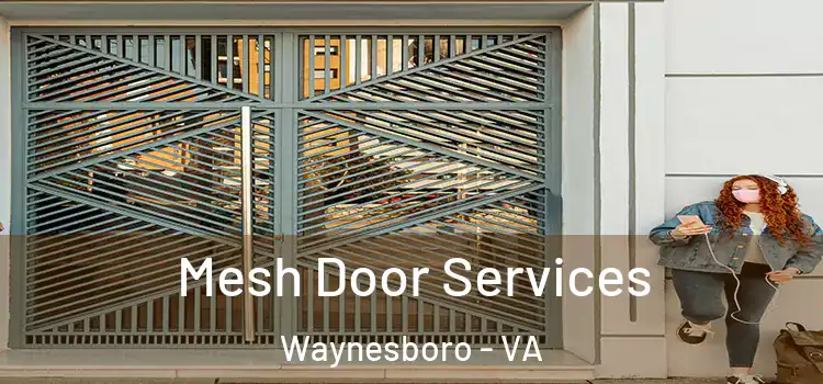  Mesh Door Services Waynesboro - VA