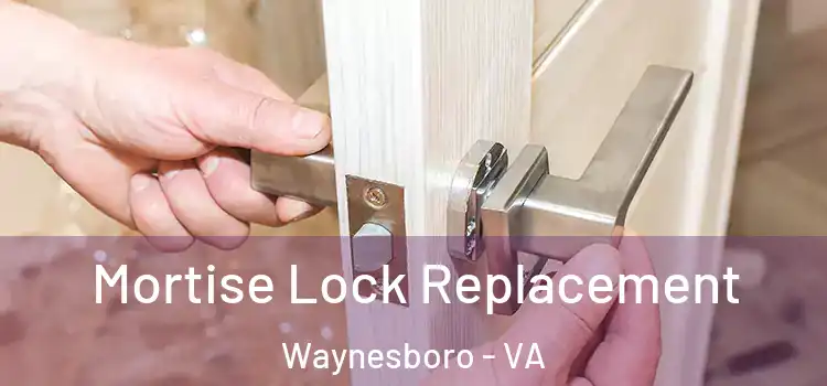  Mortise Lock Replacement Waynesboro - VA