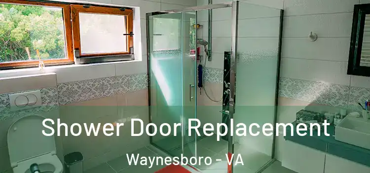  Shower Door Replacement Waynesboro - VA
