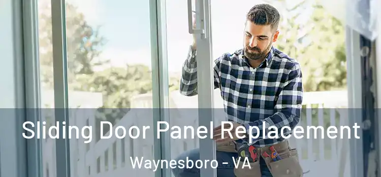  Sliding Door Panel Replacement Waynesboro - VA