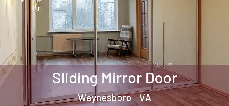  Sliding Mirror Door Waynesboro - VA